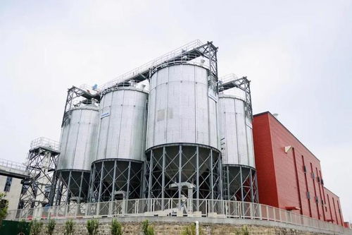 山东省酒业协会领导参观指导趵突泉酒庄技术开发与建设工作