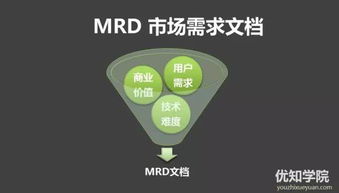 技术型产品人必备 产品开发流程与技术服务实战指南